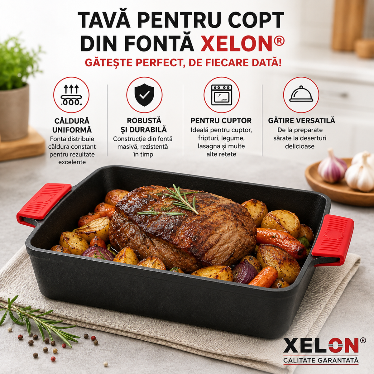 Tava Fonta Xelon 30x21 cm pentru Cuptor cu Manere Protejate