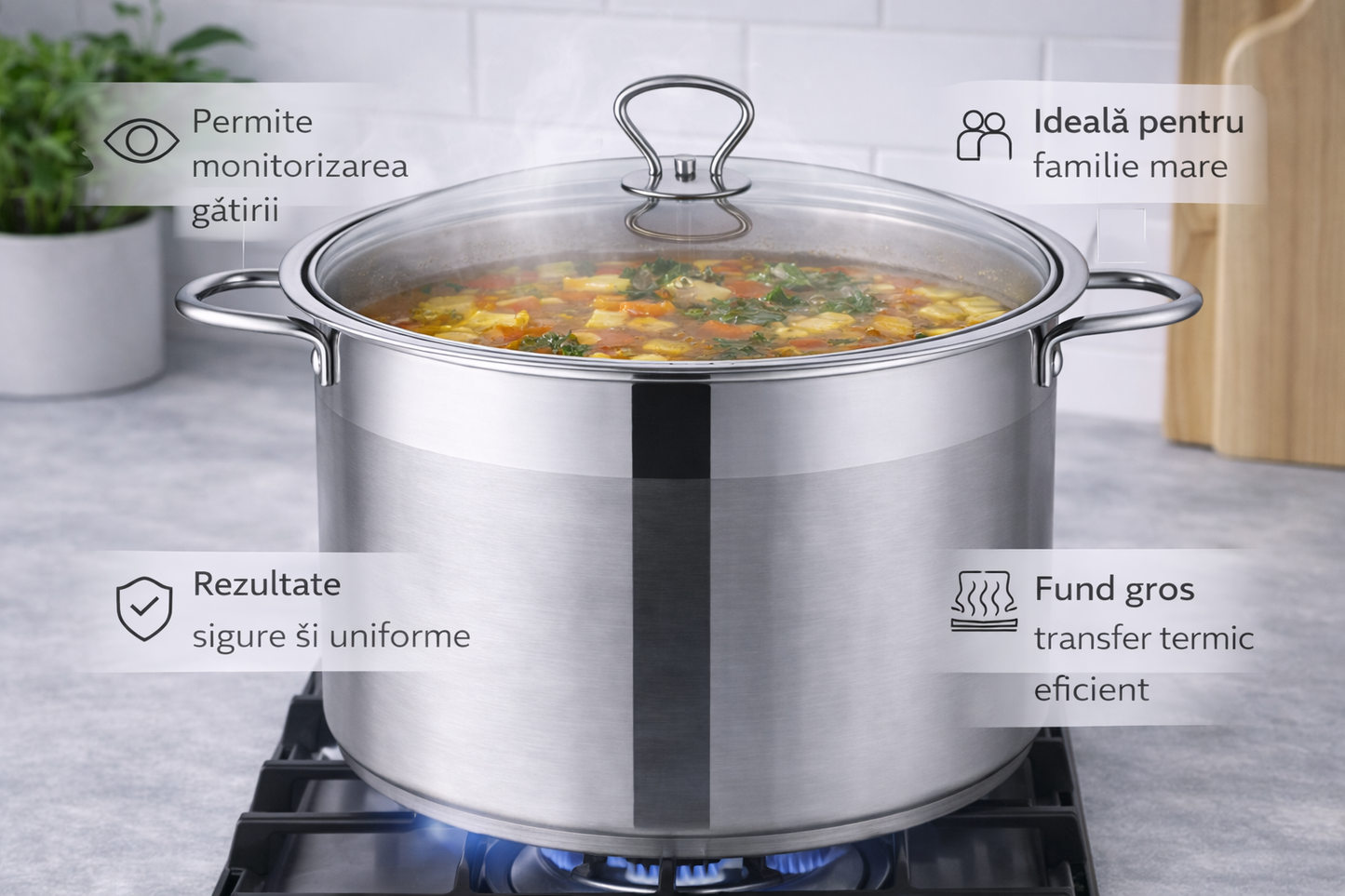 Oala Inox Royalty Line 36 x 25 cm, 22L, Capac din Sticla Termorezistenta