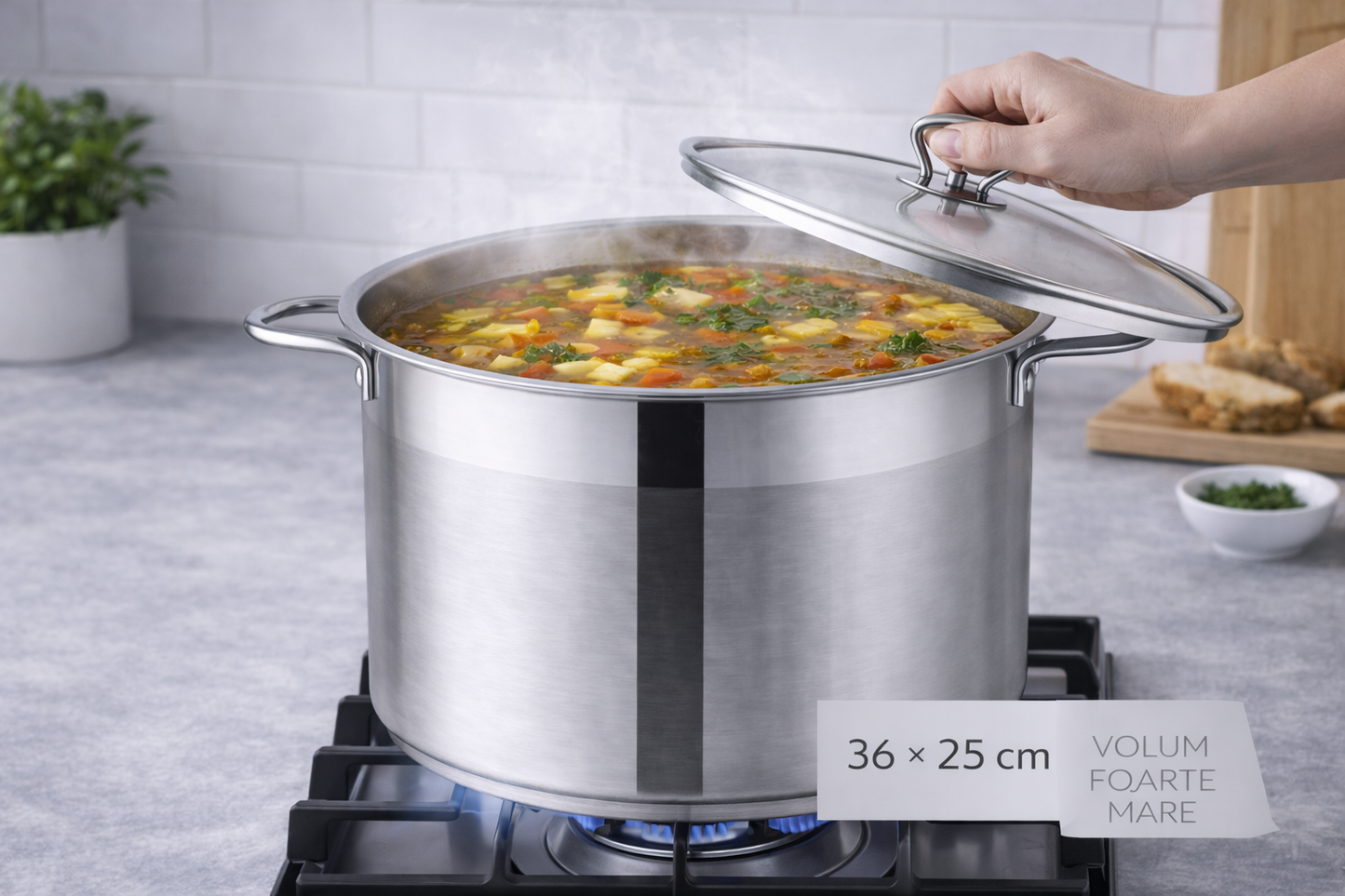 Oala Inox Royalty Line 36 x 25 cm, 22L, Capac din Sticla Termorezistenta
