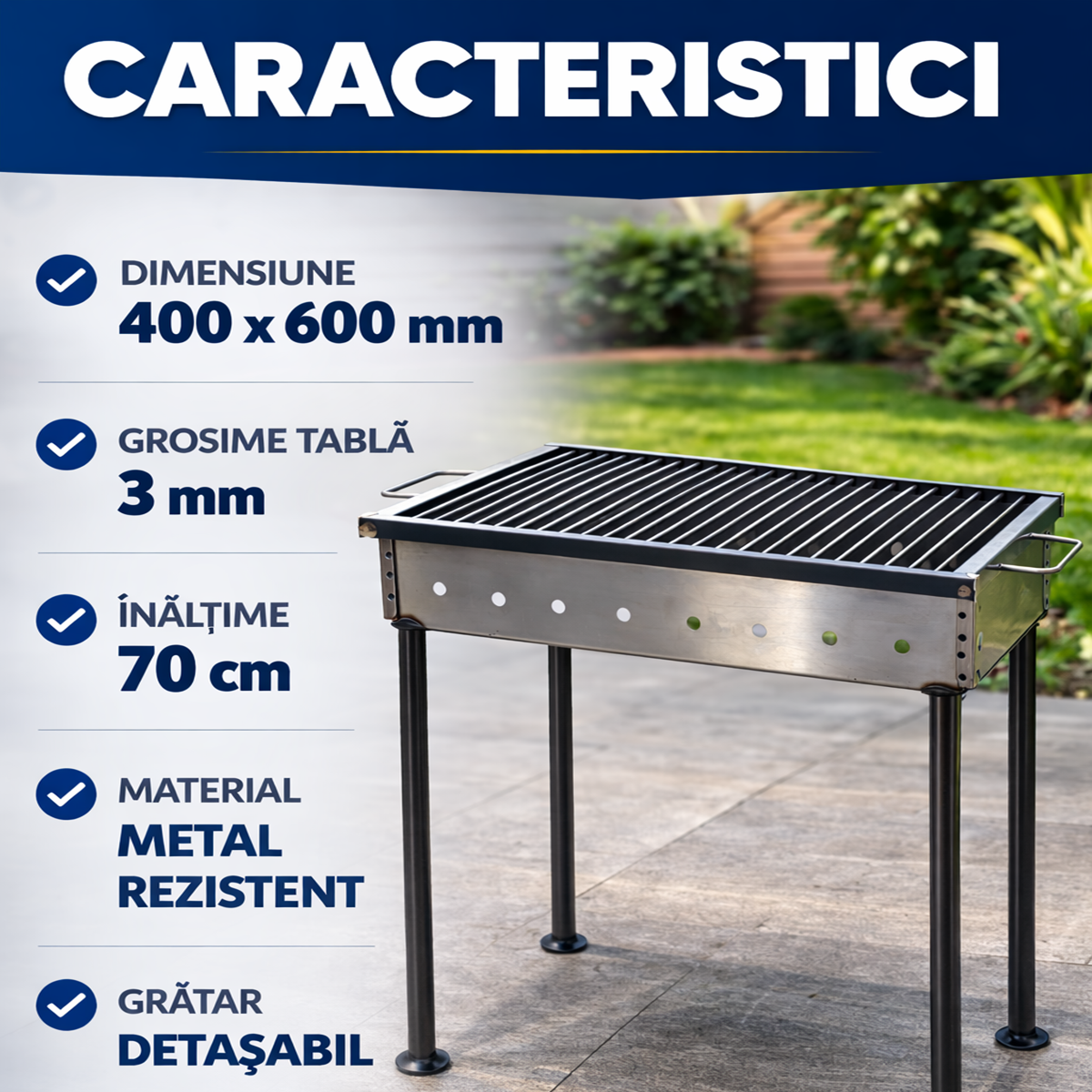 Gratar Picnic Traditional 60x40 cm cu Picioare Detasabile