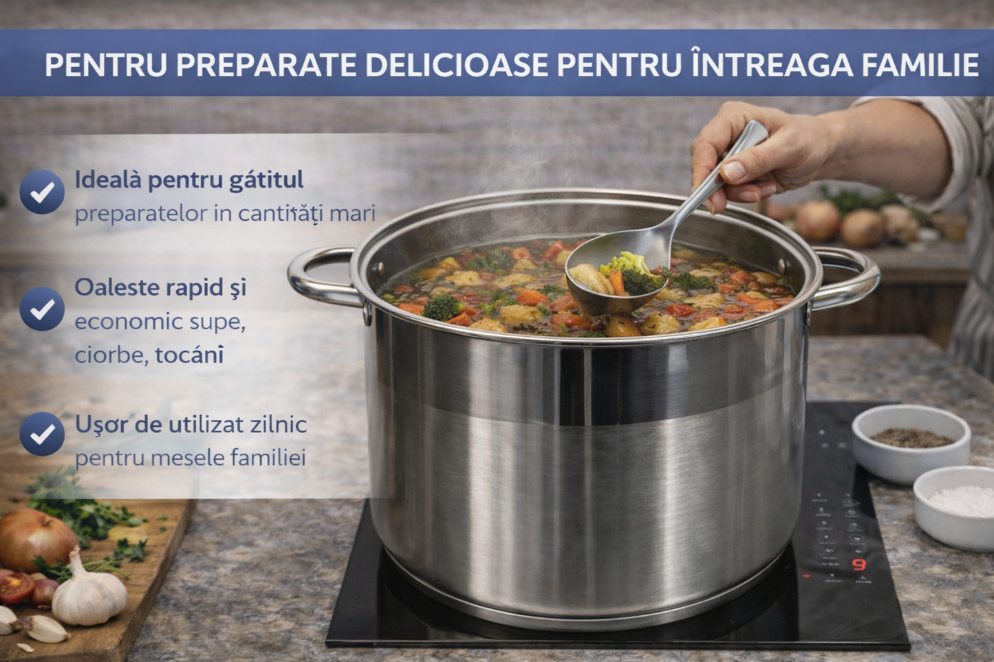 Oala Inox 26L cu Capac, Pentru Supe, Ciorbe, Sarmale si Gatit Volum Mare
