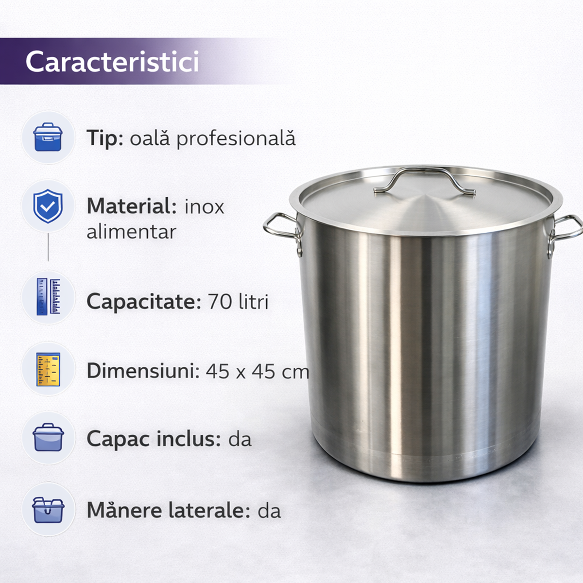 Oala Inox Profesionala 70L cu Capac, 45x45 cm, Inox Alimentar, Pentru Gatit Volum Mare