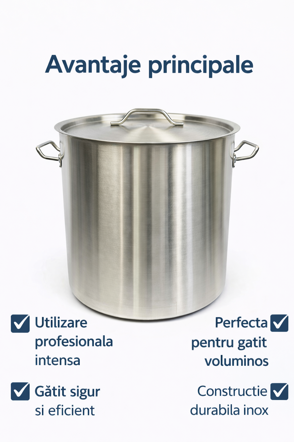 Oala Profesionala Inox 50L, 40 x 40 cm, Capac Inox, Pentru Gatit Intensiv